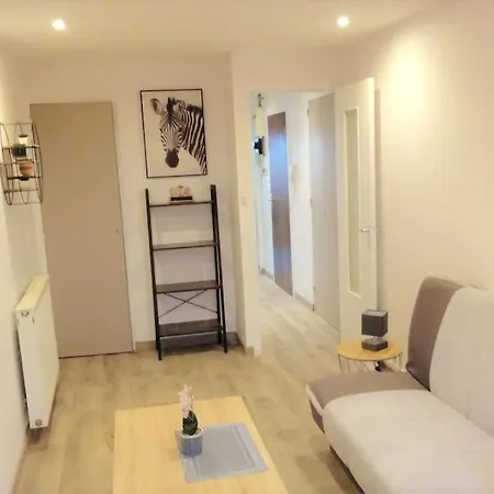 Le Belvedere Dernier Etage Avec Terrasse Wifi Fibre * タルブ